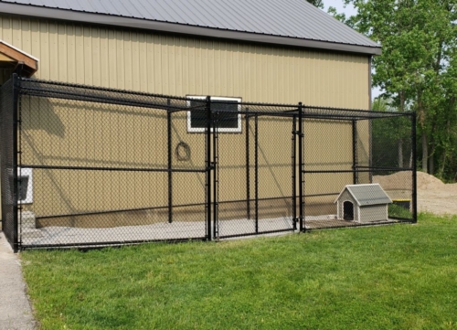 dog kennel aside building